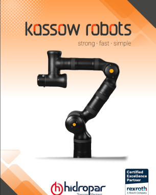 Kassow Robots